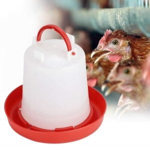 Chicken waterer and feeders