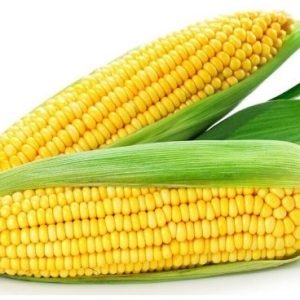Corn