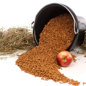 Horse Feed.